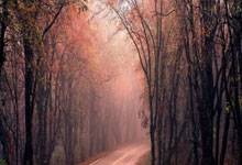 法甲联赛中一支劲旅表现低迷，怎么了？