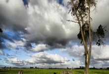 波尔图遭受拜仁压力，淘汰赛之路漫长