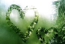 意球老将求助英甲球队百战斗牛英超夺标