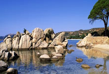 国际足联女足世界杯决赛，中国队与巴西上演较量